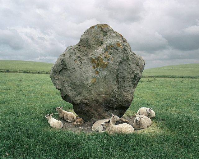 Овцы и камень, 1