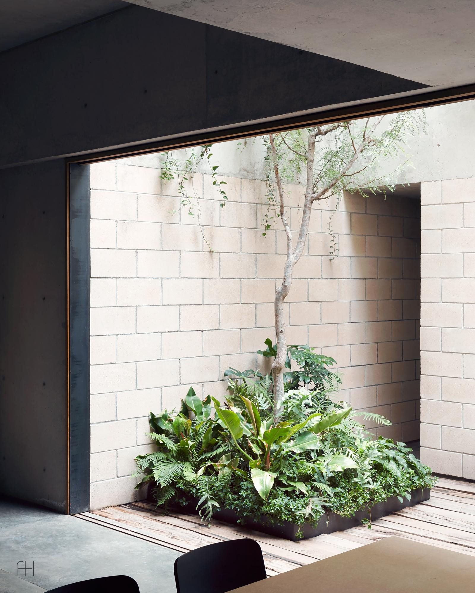 Antonio Sola Town-Houses // Ambrosi Etchegaray // Мехико, 2