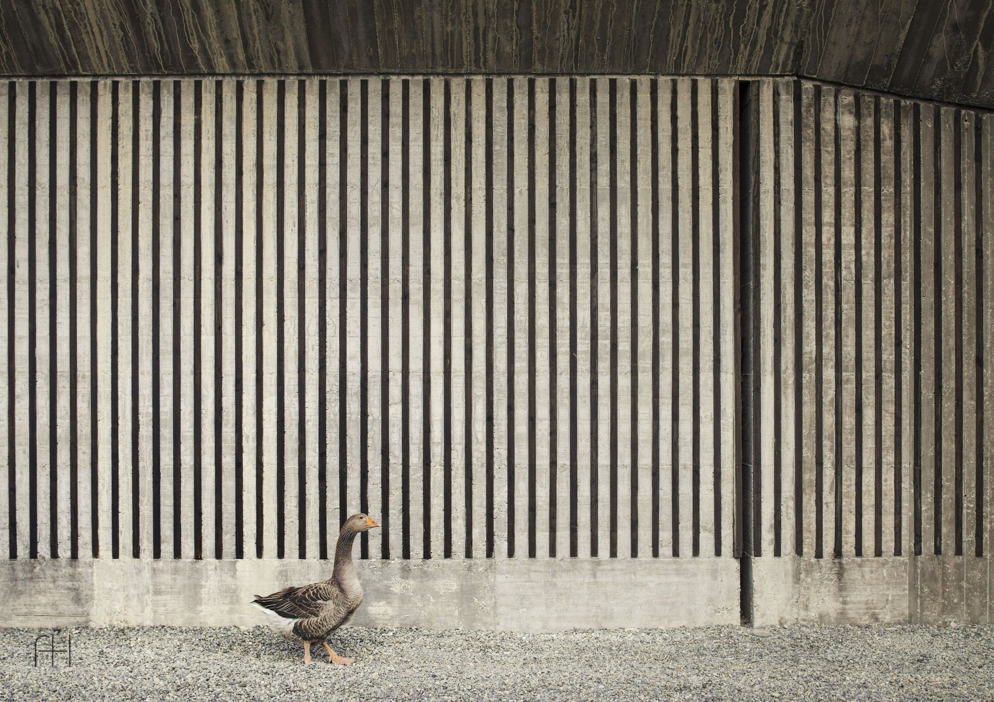 Agricultural Machinery Depot // Deamicisarchitetti // Гави, Италия, 2017, 3