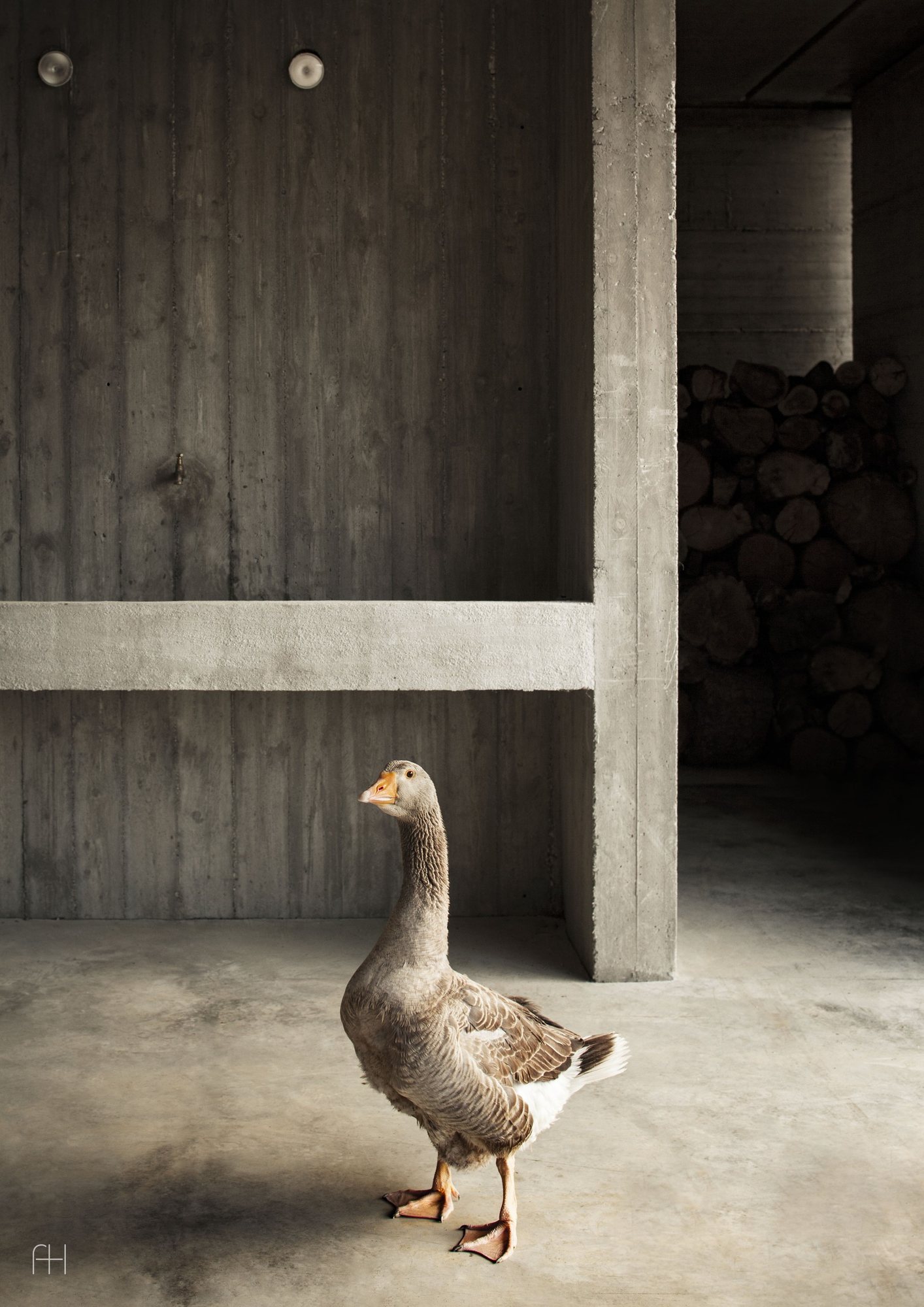 Agricultural Machinery Depot // Deamicisarchitetti // Гави, Италия, 2017, 4