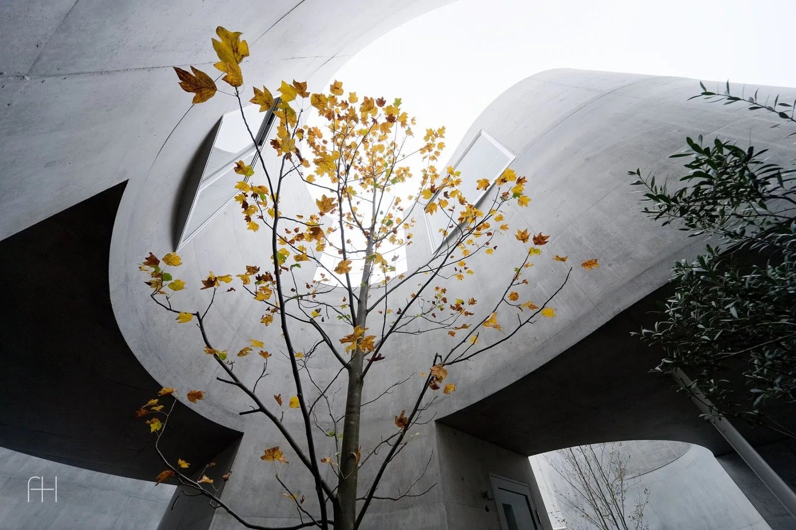 Okurayama Apartments // SANAA // Йокогама, Япония, 1