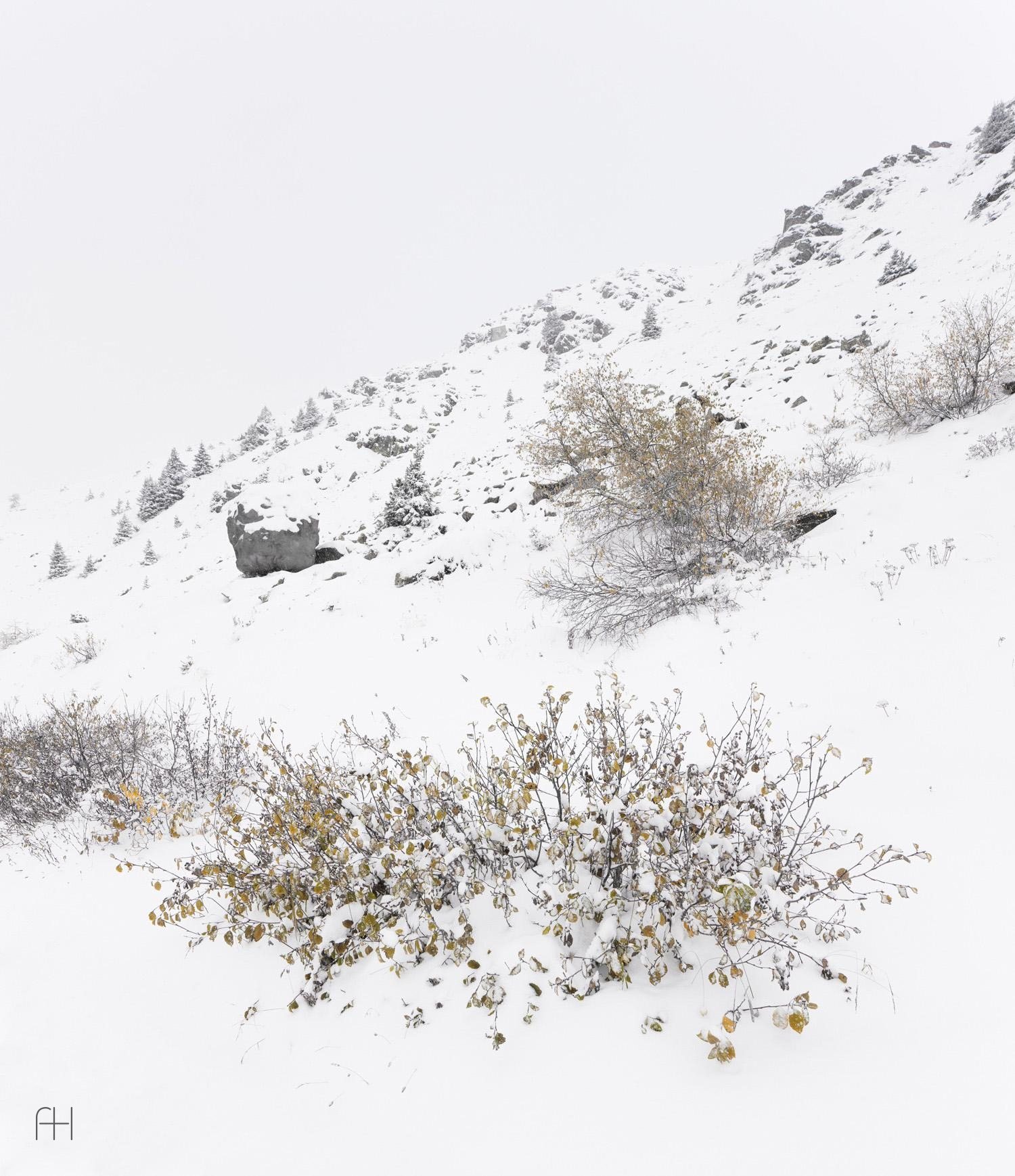 Antoine // Bureau A // Швейцарские Альпы, 2