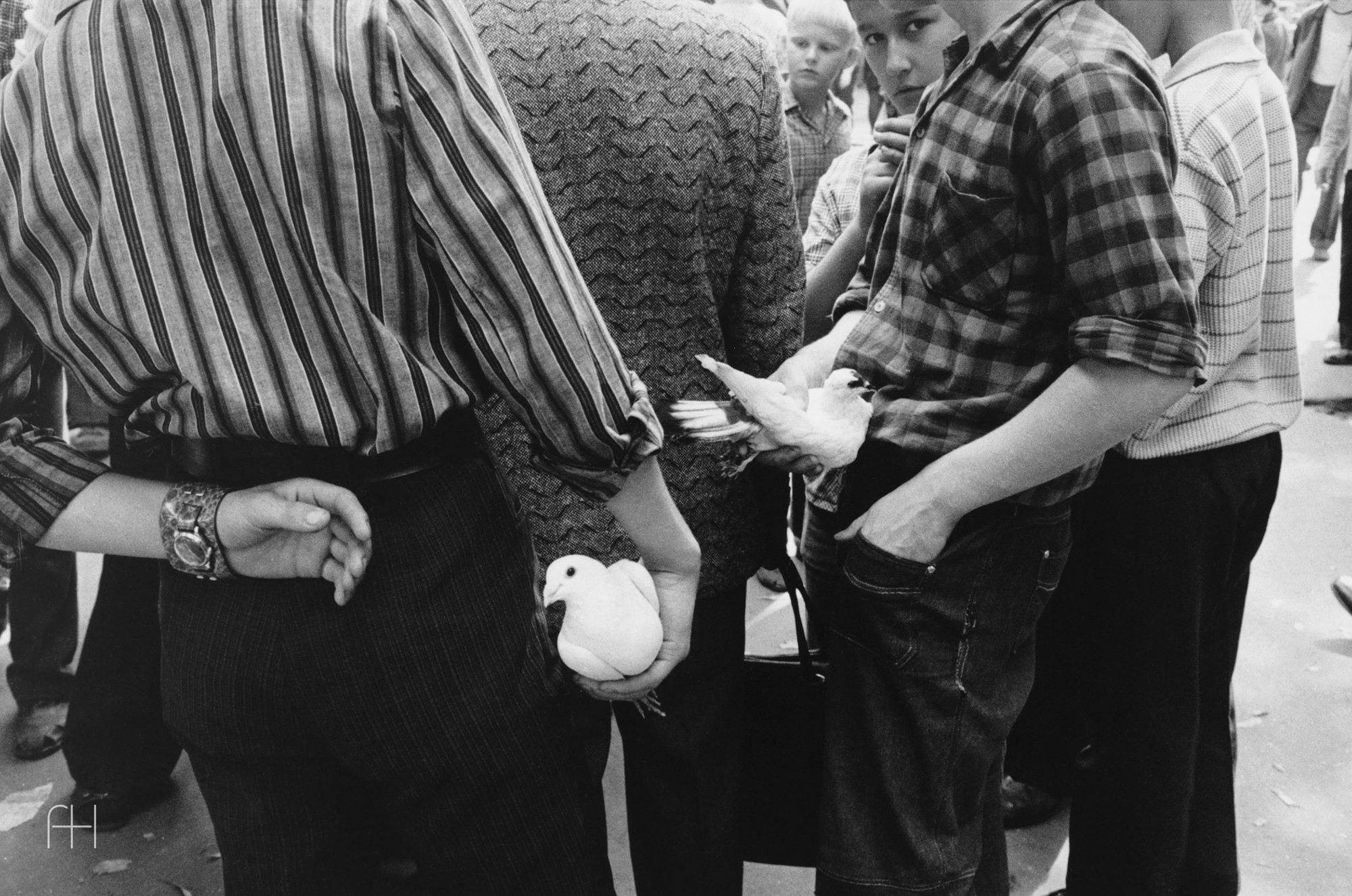 Town and Country and Dogs // Sibylle Bergemann // Berlin, 1966–2010, 5