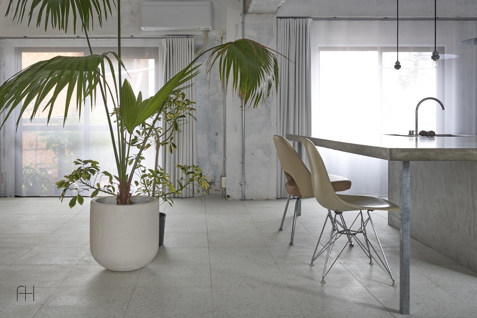 House of Wind and Light // Office Shogo Onodera // Tokyo, Japan, 4