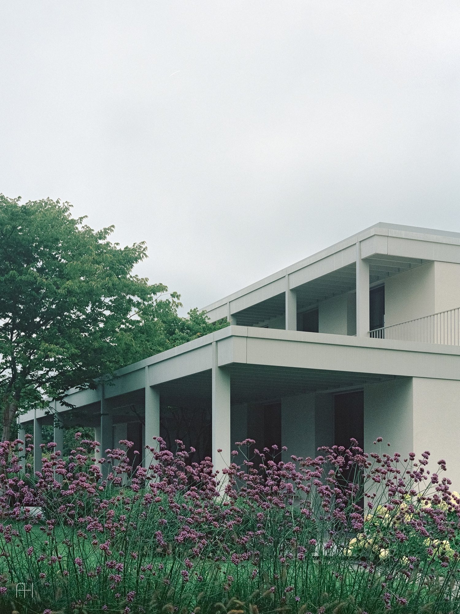 House at a Vineyard // Think Architecture // Цюрих, Швейцария, 2019, 10