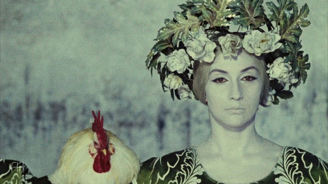 The Color of Pomegranates, 6