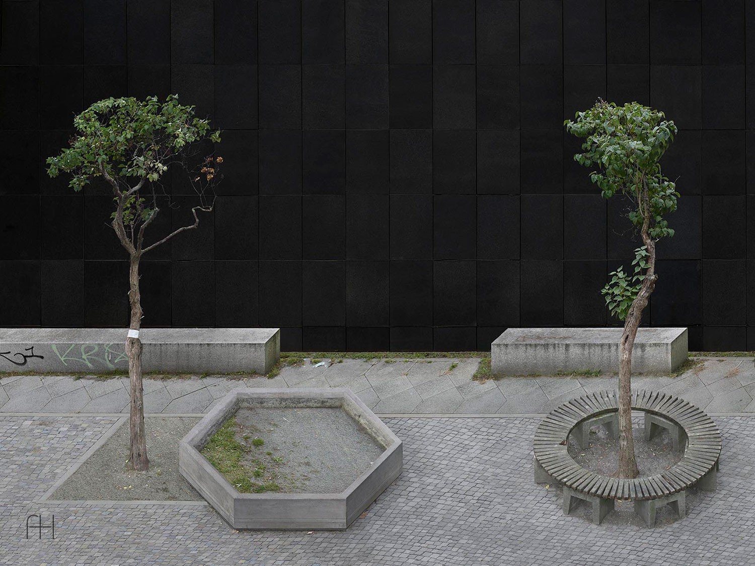 Hortus Conclusus, 4