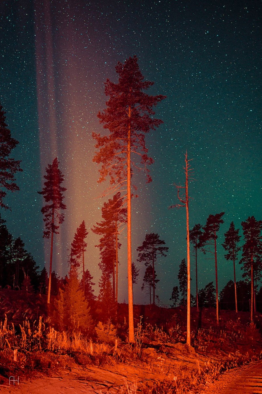 The Phenomenon of Fire, Regardless Its Truth // Мария Лакс // 2020, 1