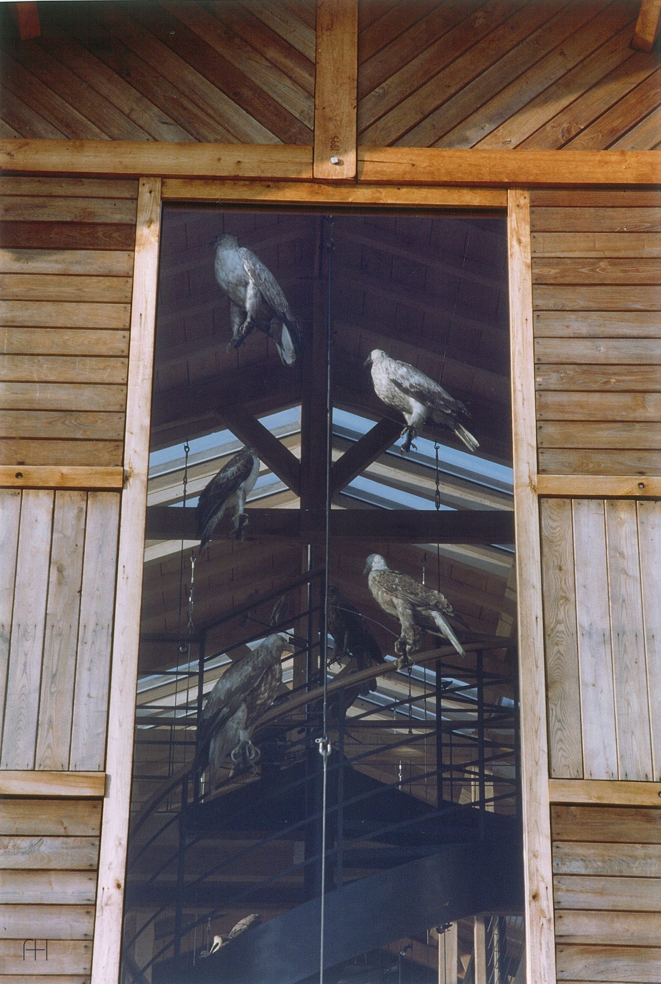 Hauts de Bonaguil Ornithological Museum // Pascale de Redon // Sauturac, France, 1995, 5